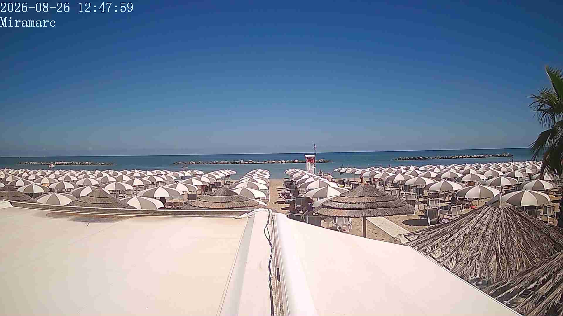 live webcam